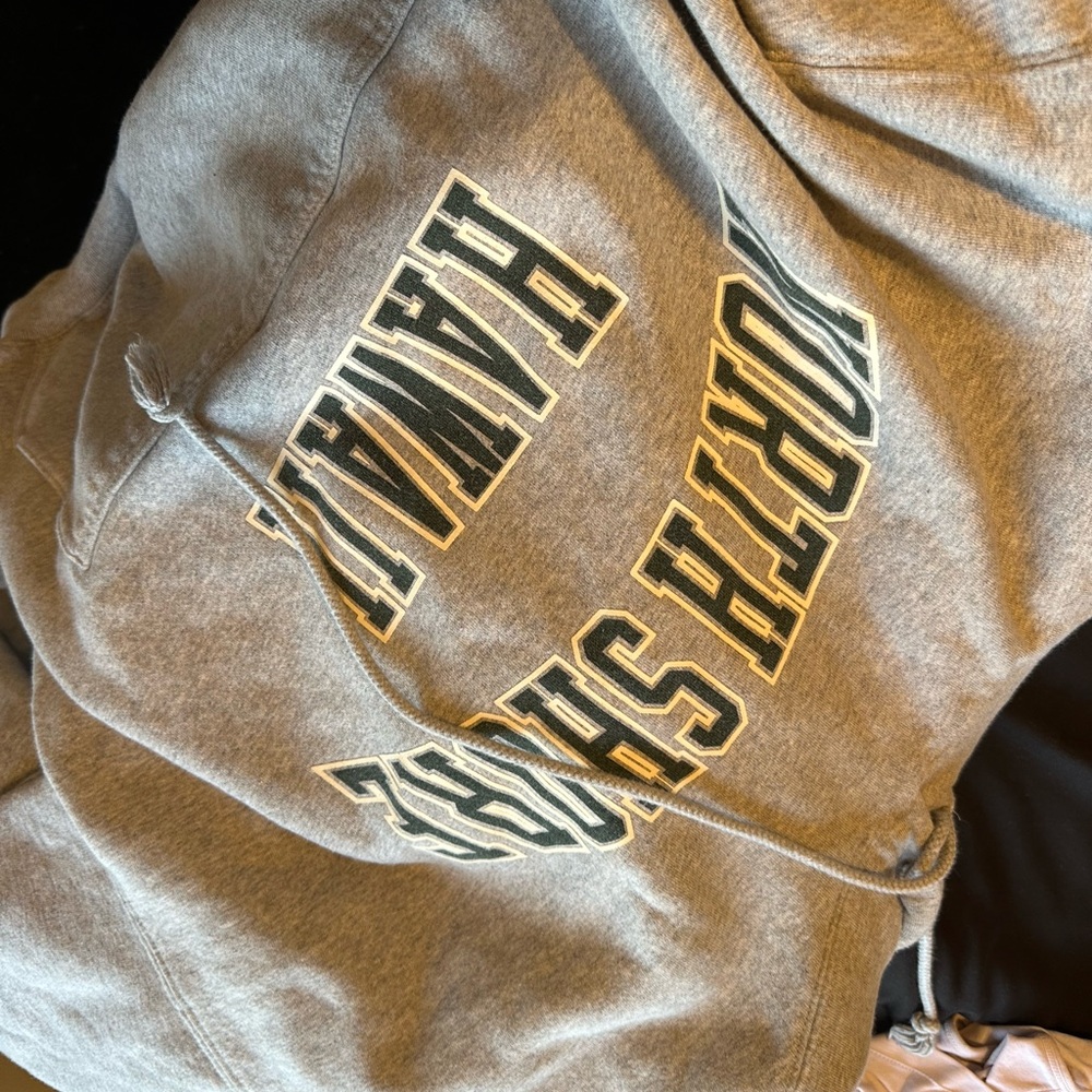 Gray North Shore Hawaii Brandy Melville Hoodie